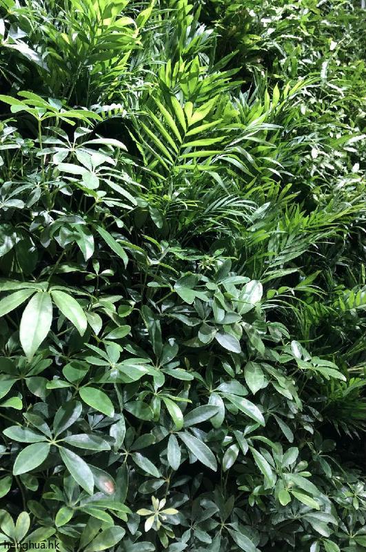 微信图片_20220224091218.jpg 图片